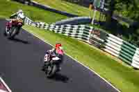cadwell-no-limits-trackday;cadwell-park;cadwell-park-photographs;cadwell-trackday-photographs;enduro-digital-images;event-digital-images;eventdigitalimages;no-limits-trackdays;peter-wileman-photography;racing-digital-images;trackday-digital-images;trackday-photos